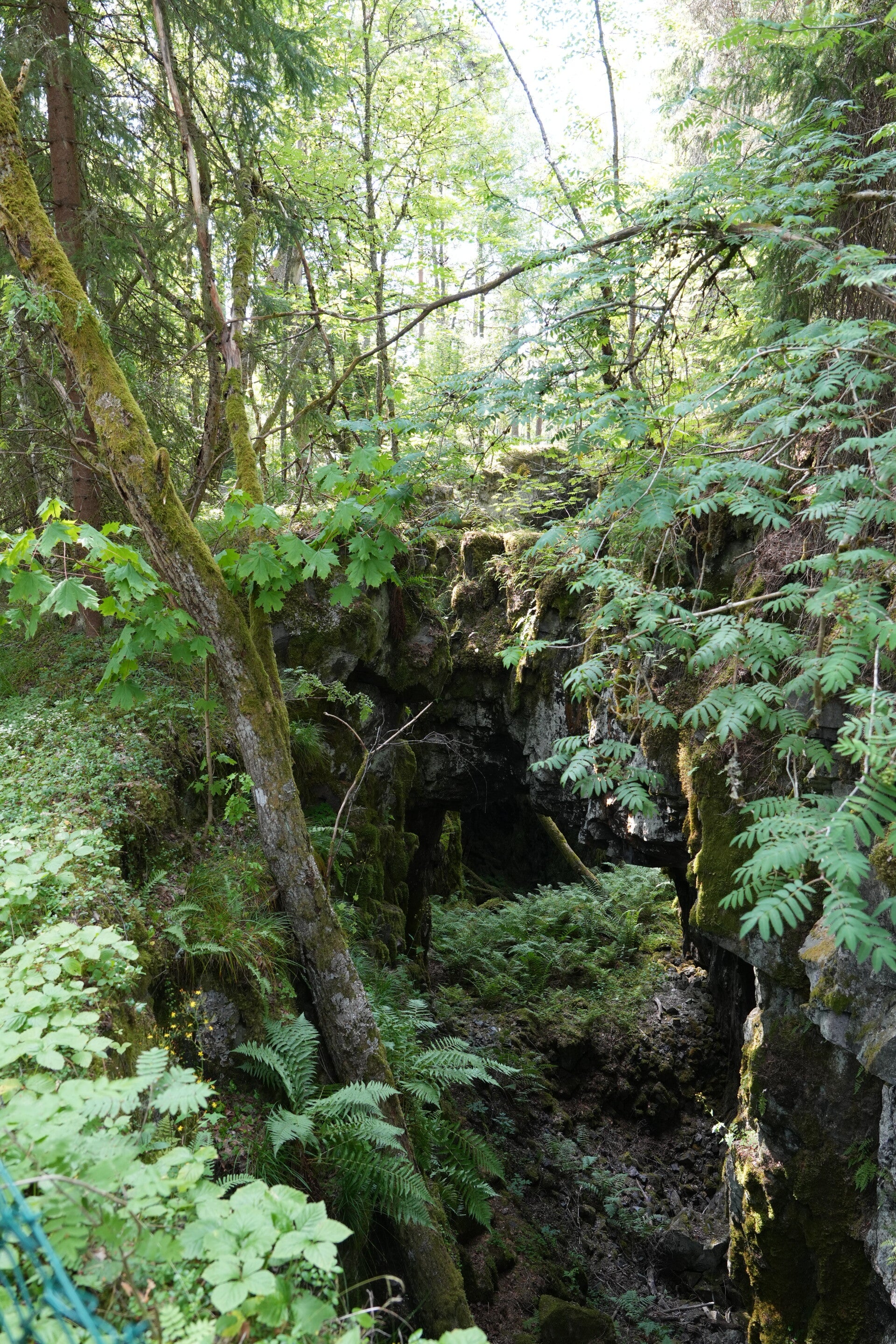 dsc01502-standard.jpg