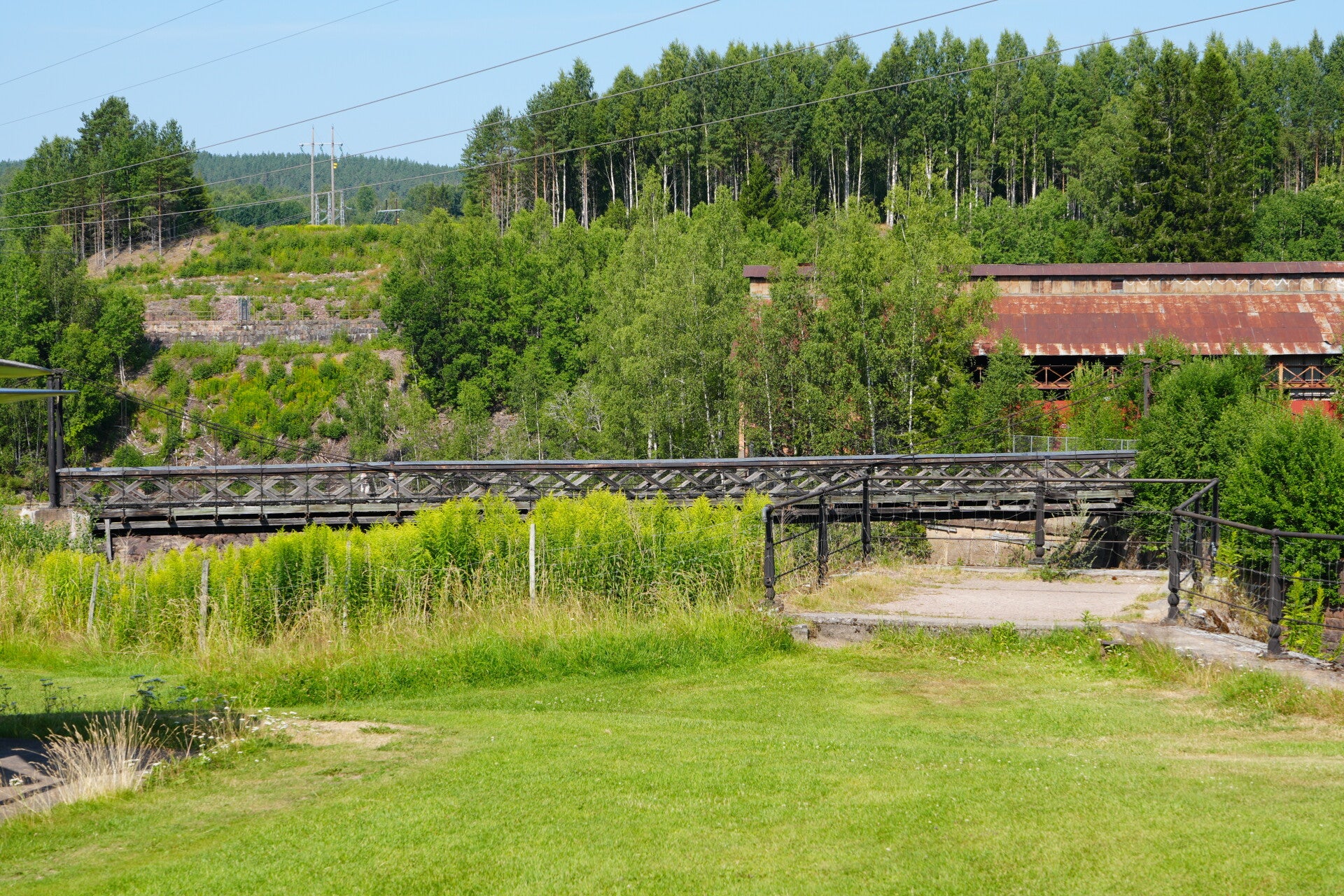 dsc01513-standard.jpg
