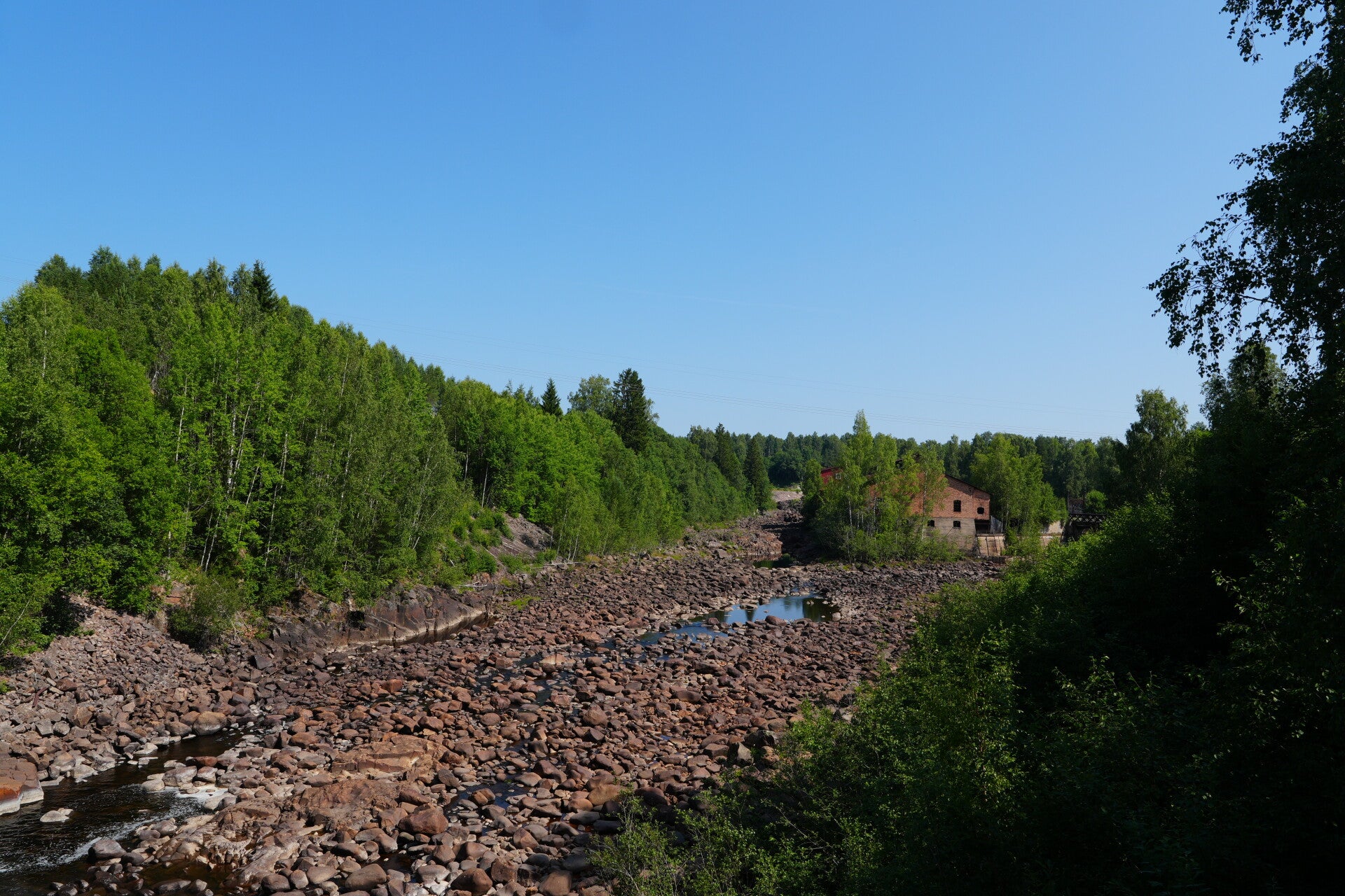 dsc01532-standard.jpg