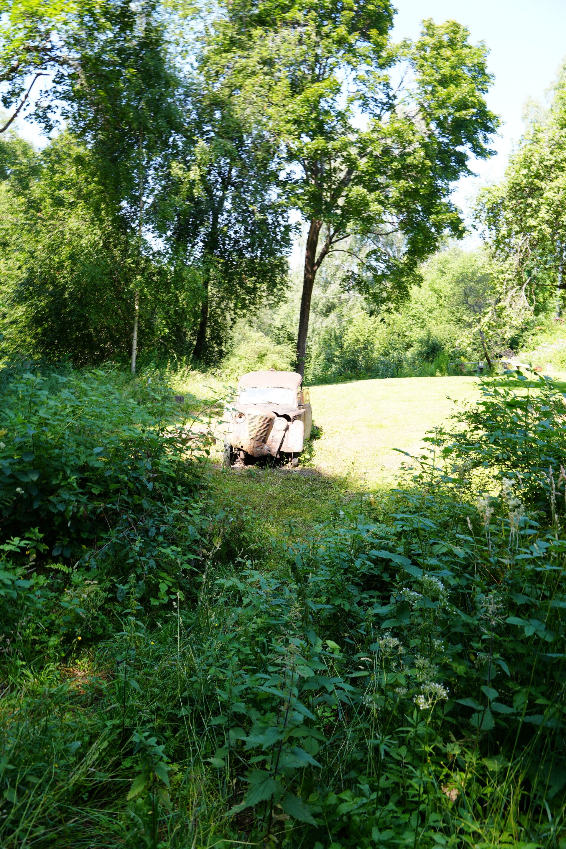 dsc01539-standard.jpg