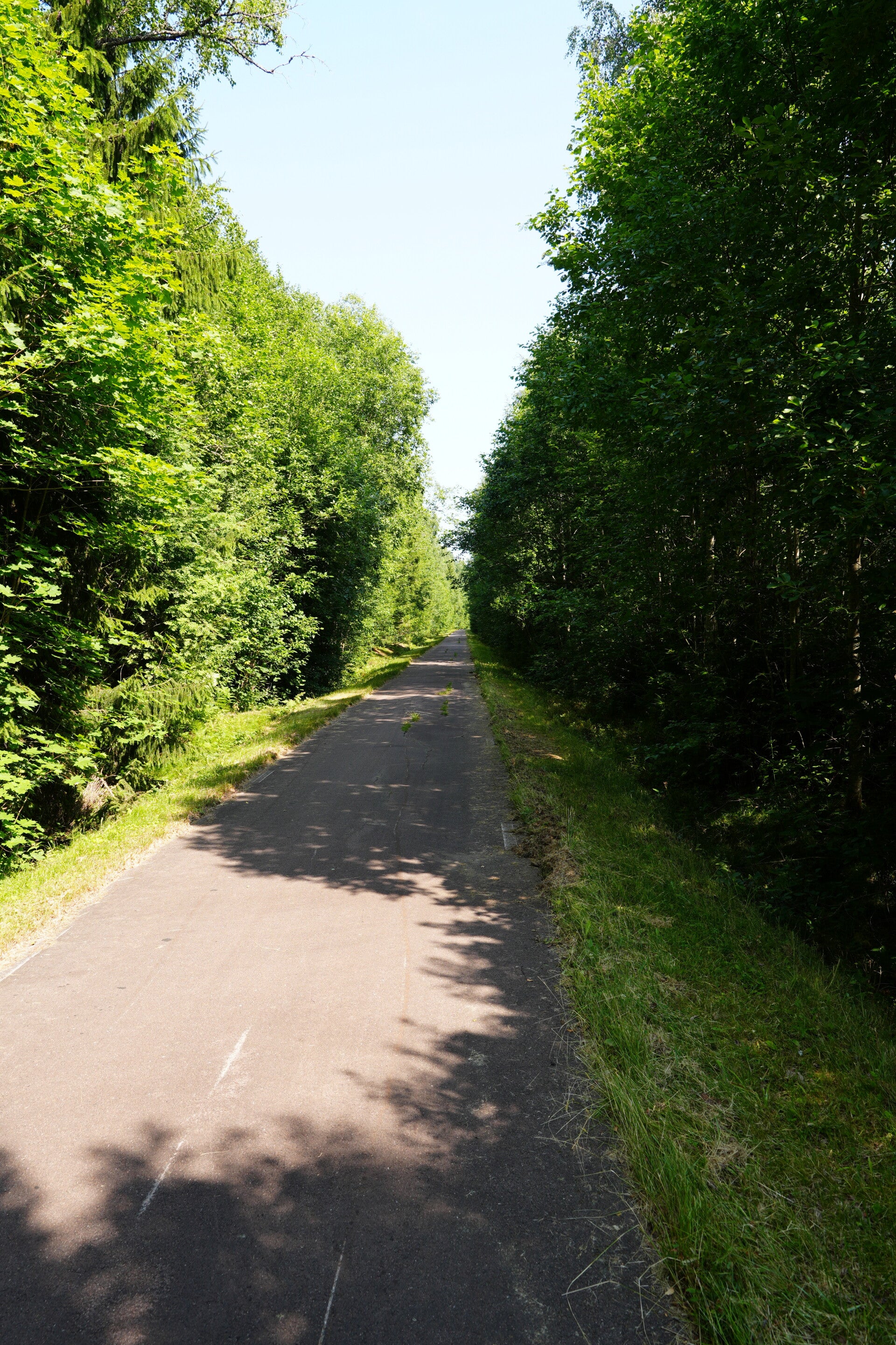 dsc01542-standard.jpg