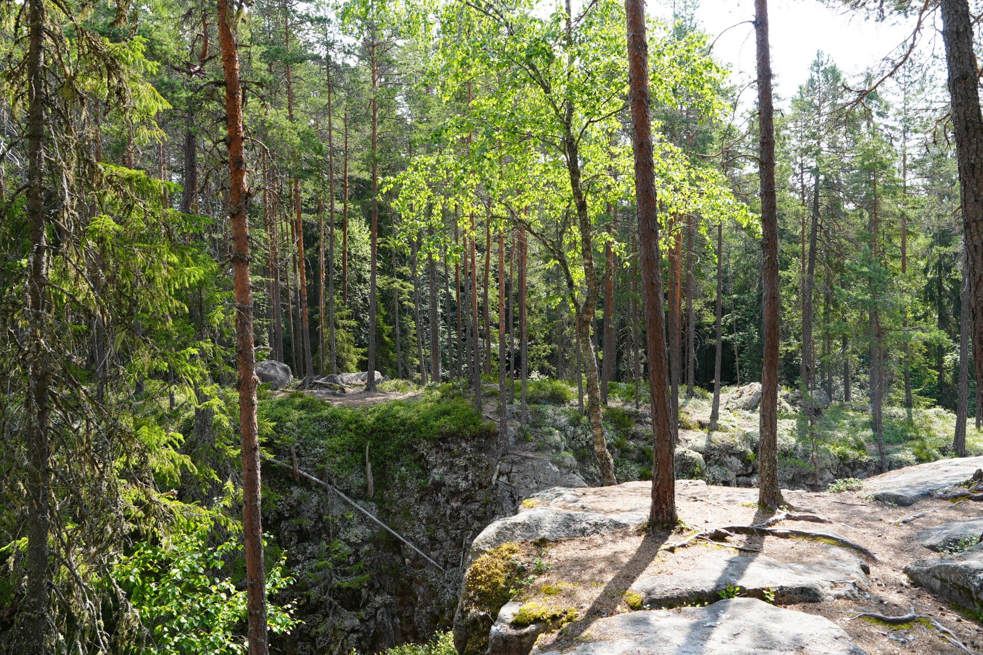 dsc01555-standard.jpg