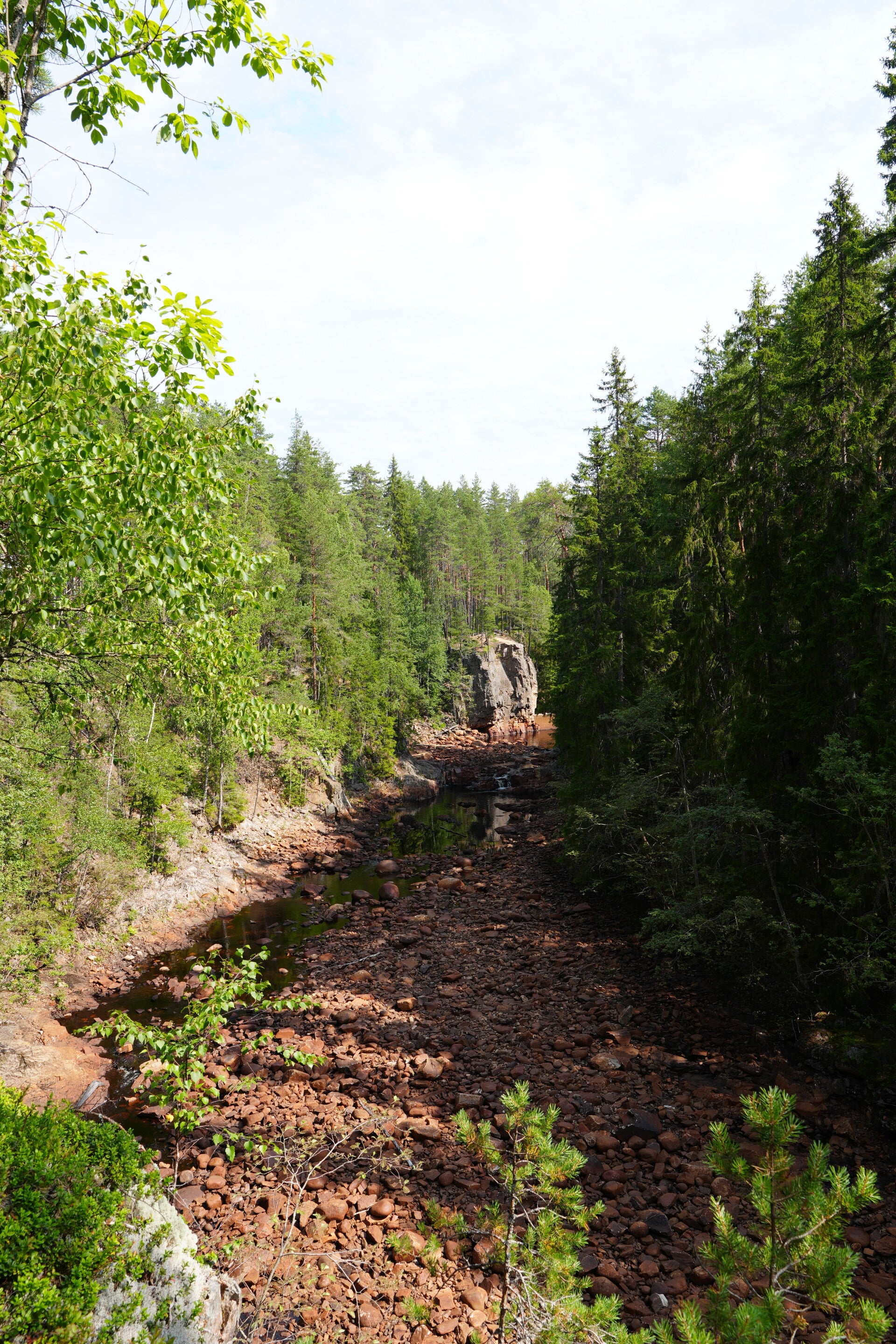 dsc01556-standard.jpg