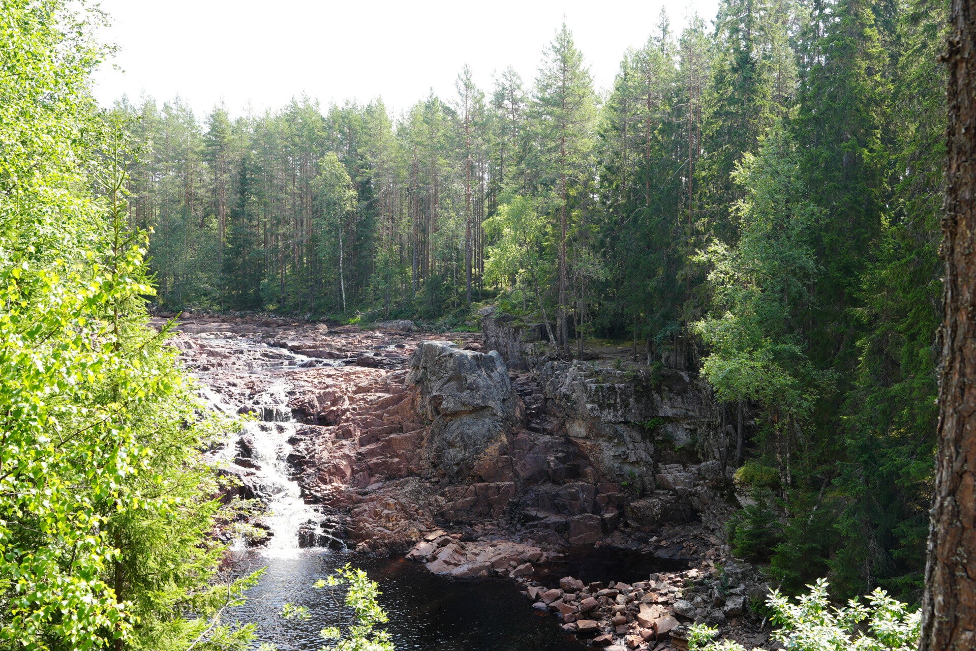 dsc01566-standard.jpg