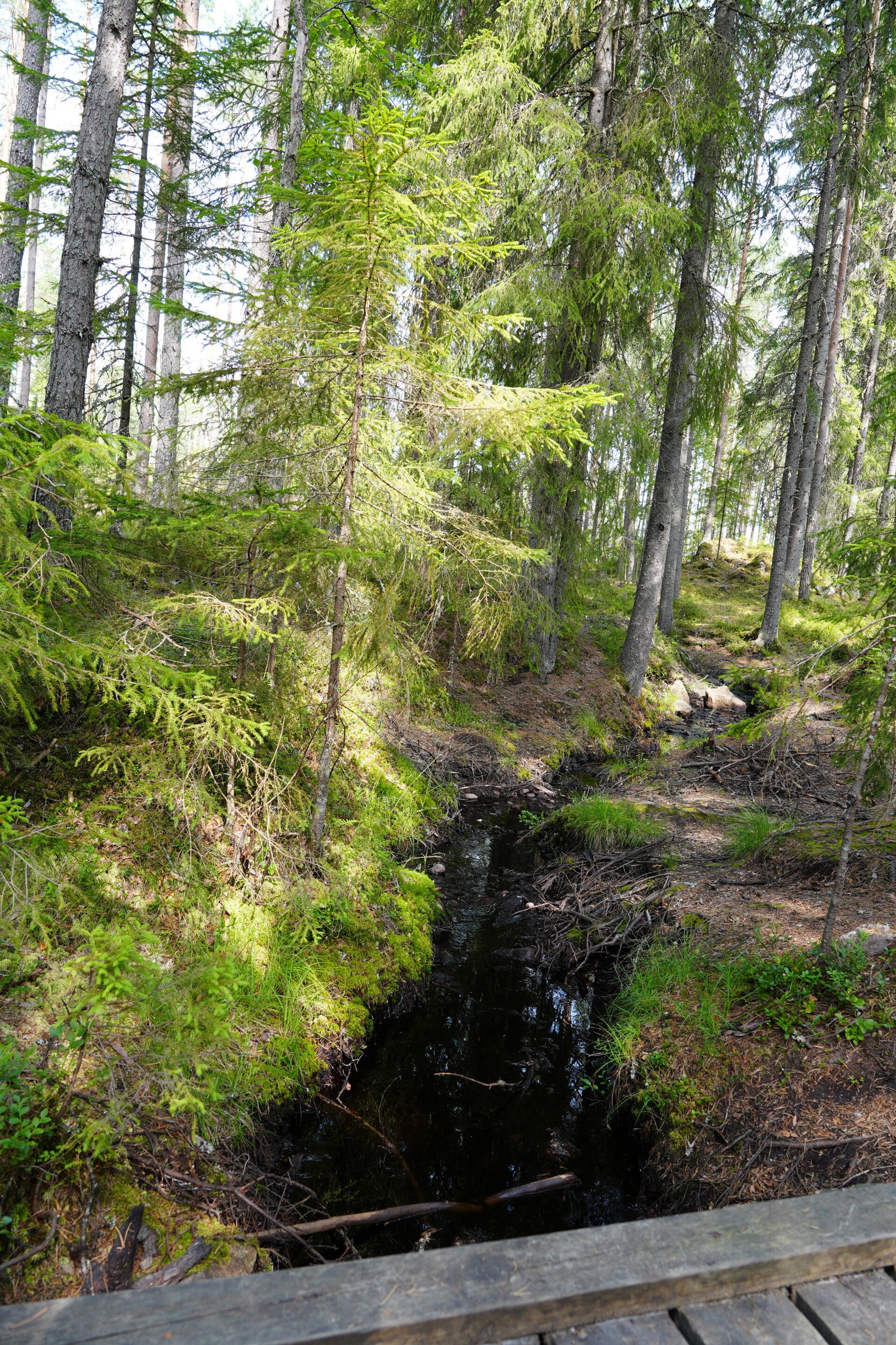 dsc01567-standard.jpg