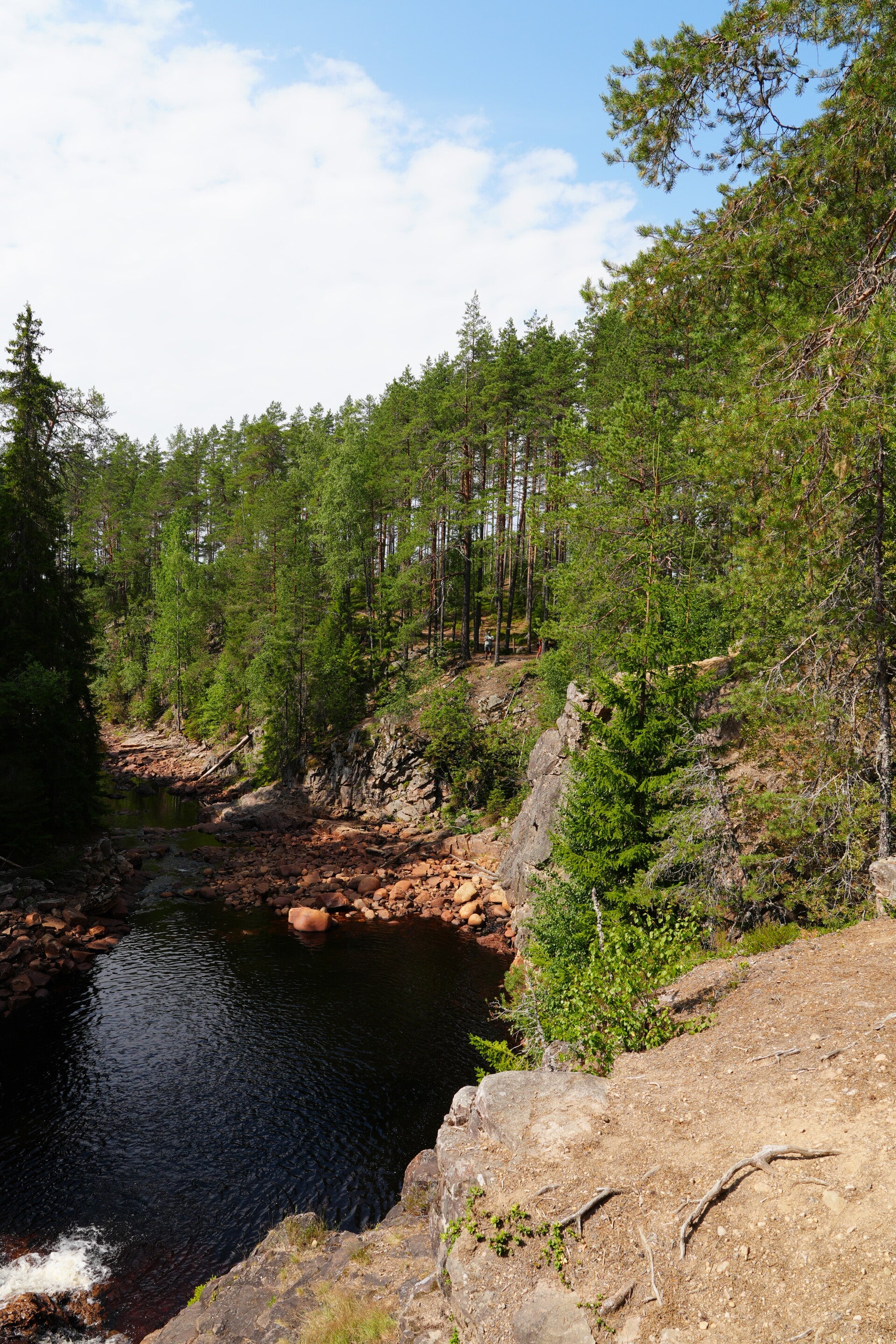 dsc01570-standard.jpg