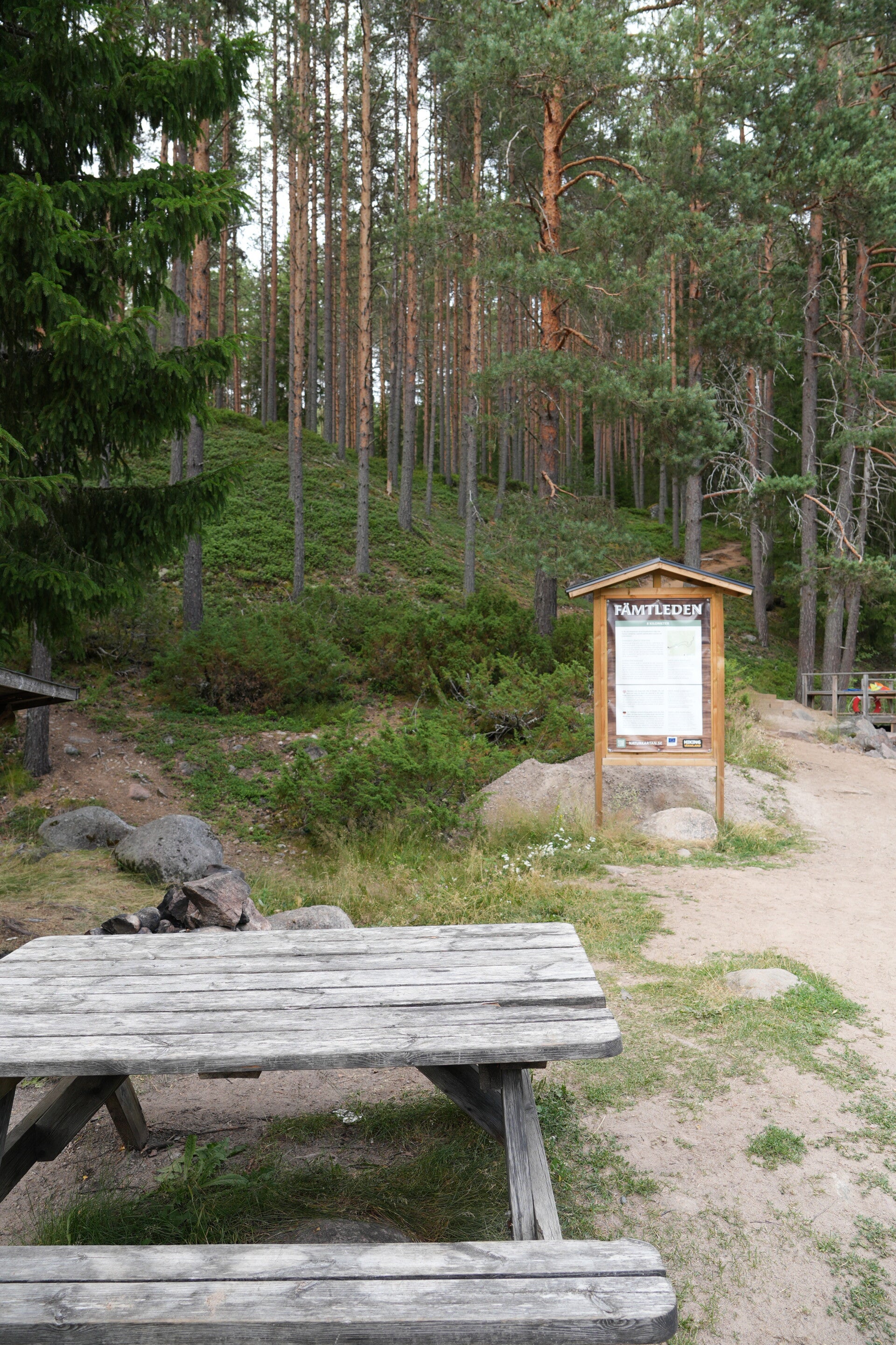 dsc01584-standard.jpg