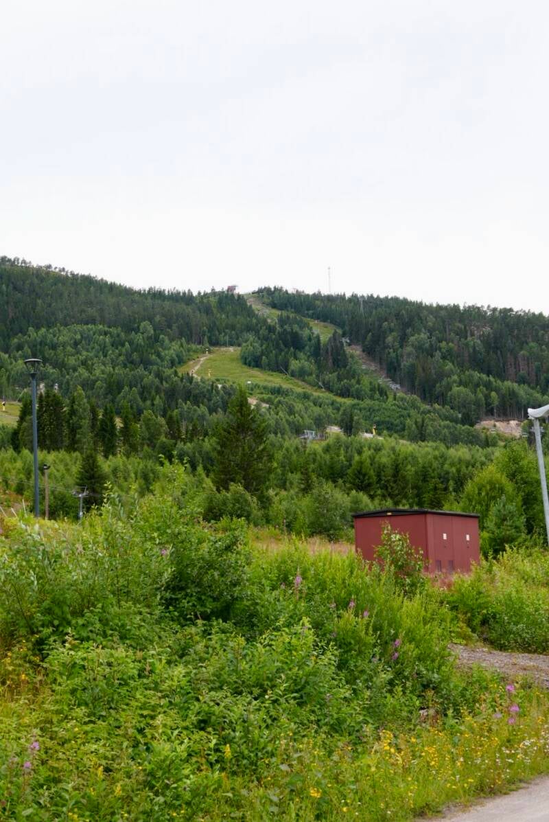 dsc01594-standard.jpg