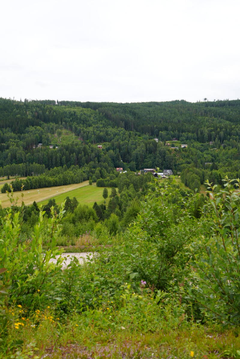 dsc01596-standard.jpg