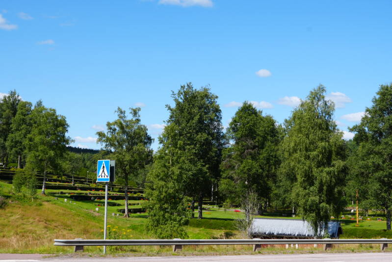 dsc01624-standard.jpg
