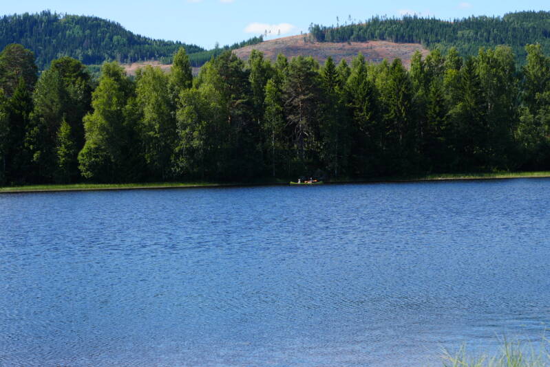 dsc01626-standard.jpg