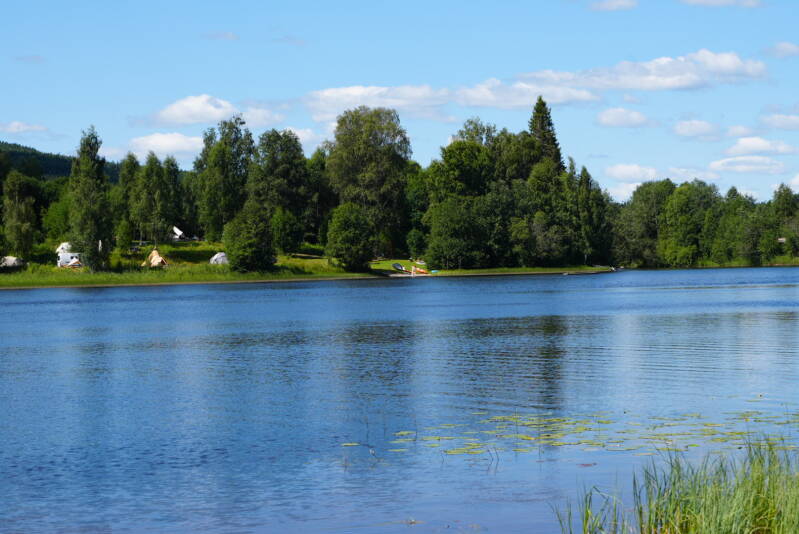dsc01634-standard.jpg
