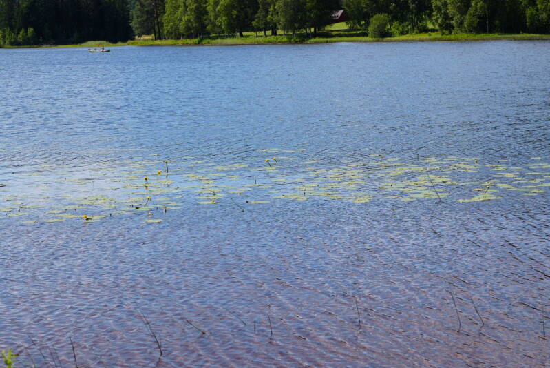 dsc01635-standard.jpg