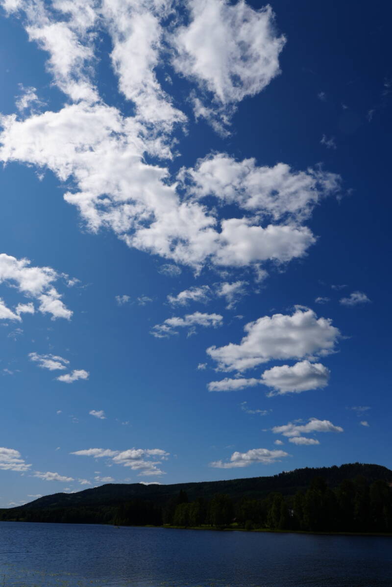 dsc01638-standard.jpg