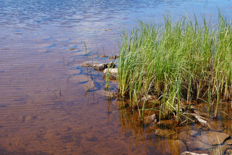 dsc01642-standard-f43num.jpg