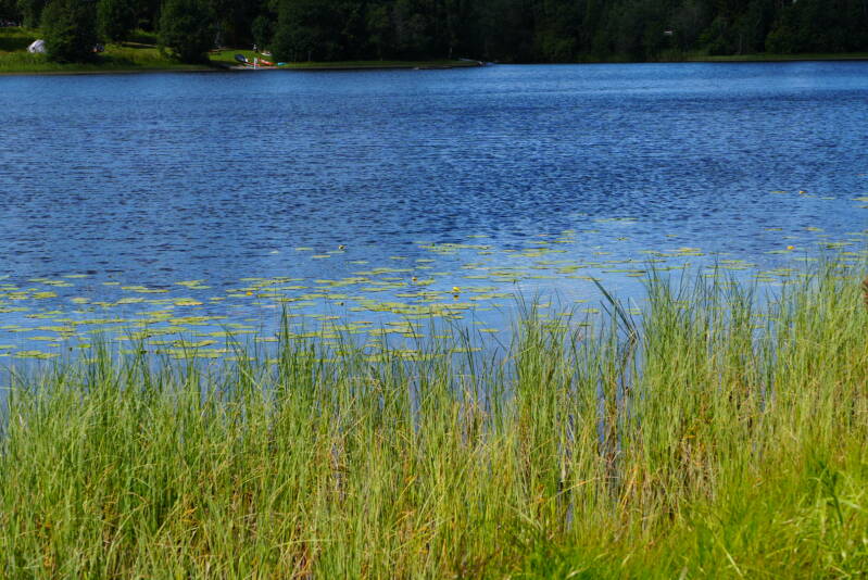 dsc01643-standard.jpg