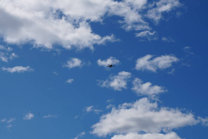 dsc01644-standard.jpg