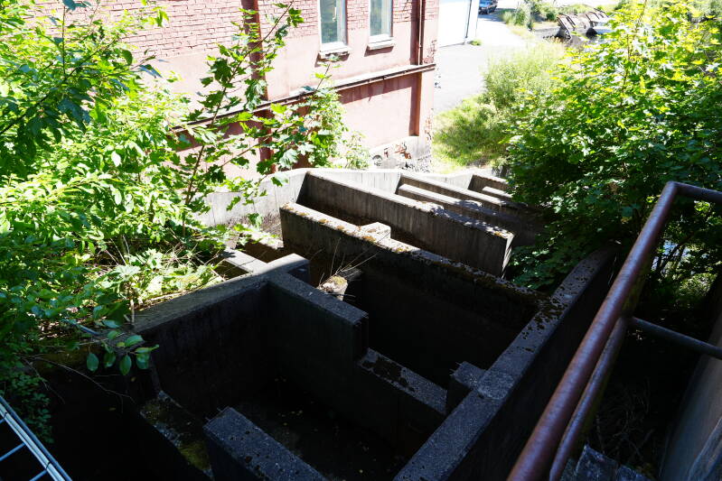 dsc01724-standard.jpg