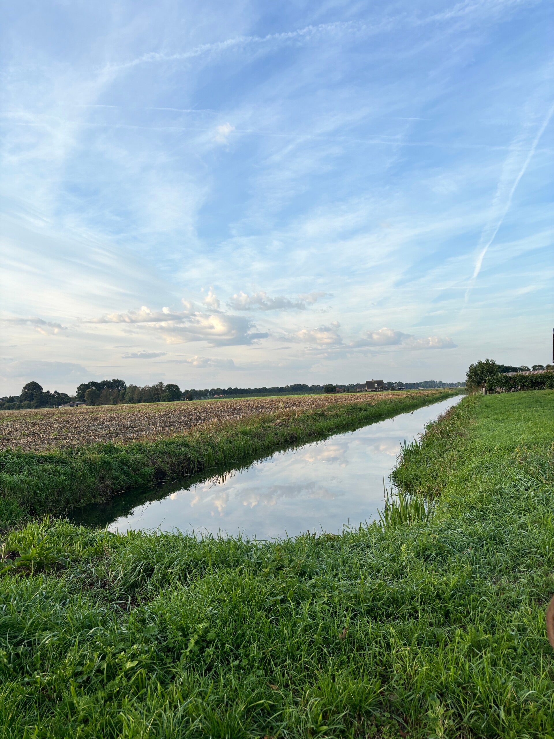 img_8984-standard.jpg
