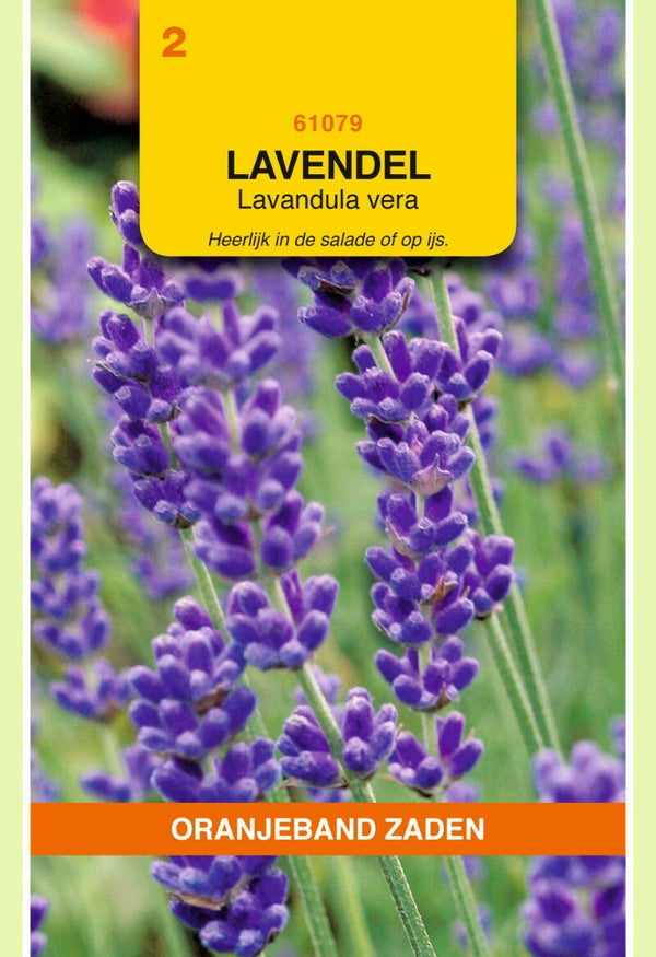 OBZ Lavendel