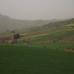 h9-standard-7mt5kl.jpg