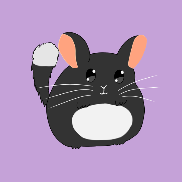 Illustrations animaux