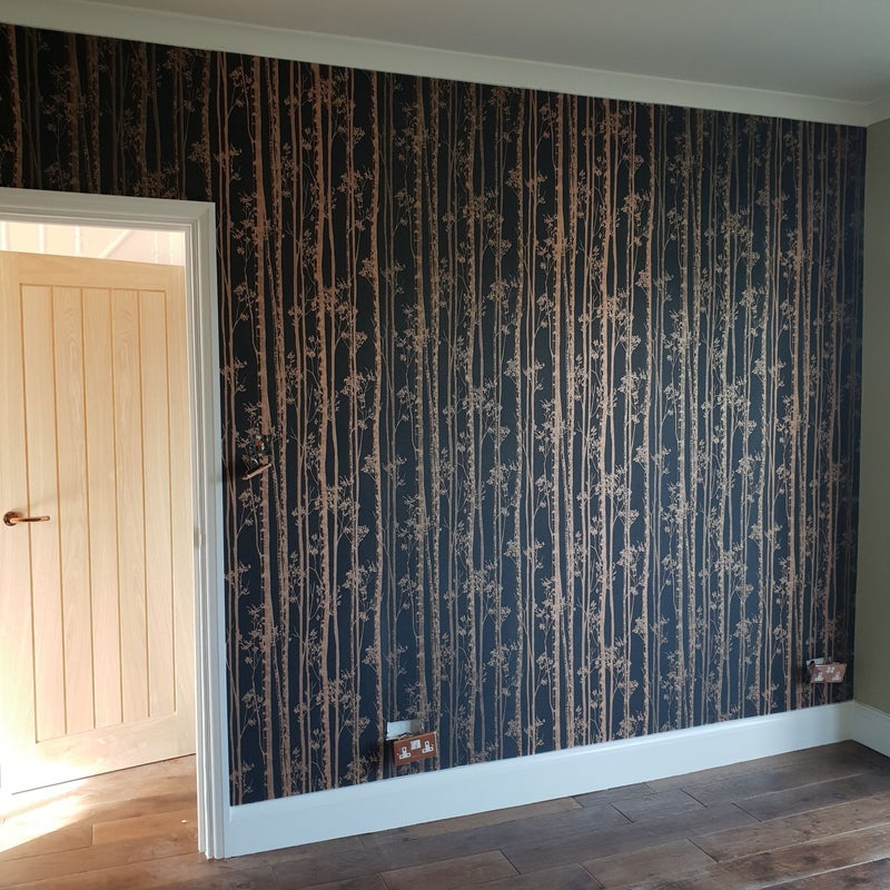 20190302_141739-standard.jpg