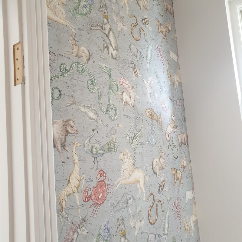 20190518_095417-standard.jpg