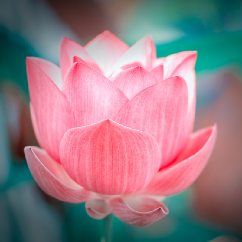 Persönlichkeitsentwicklung