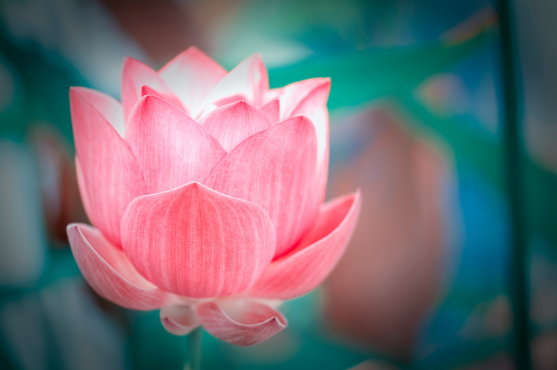 Persönlichkeitsentwicklung