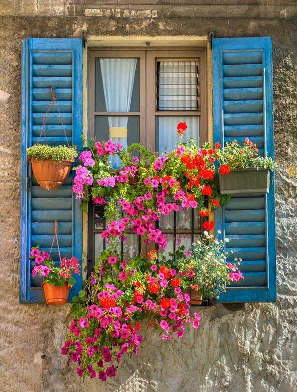 Tuinposter 60x80 - P186