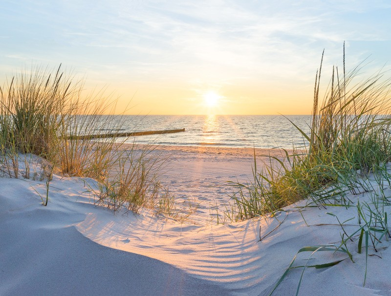Tuinposter 80x60 - p143