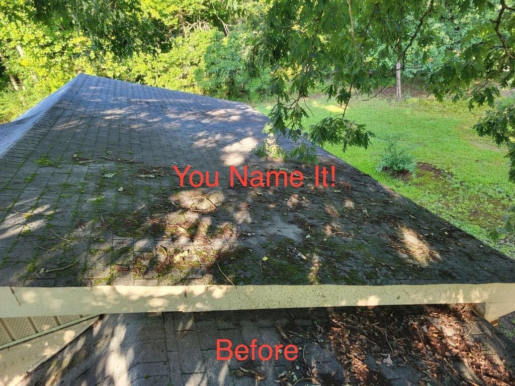 before-roof-clean-standard.jpg