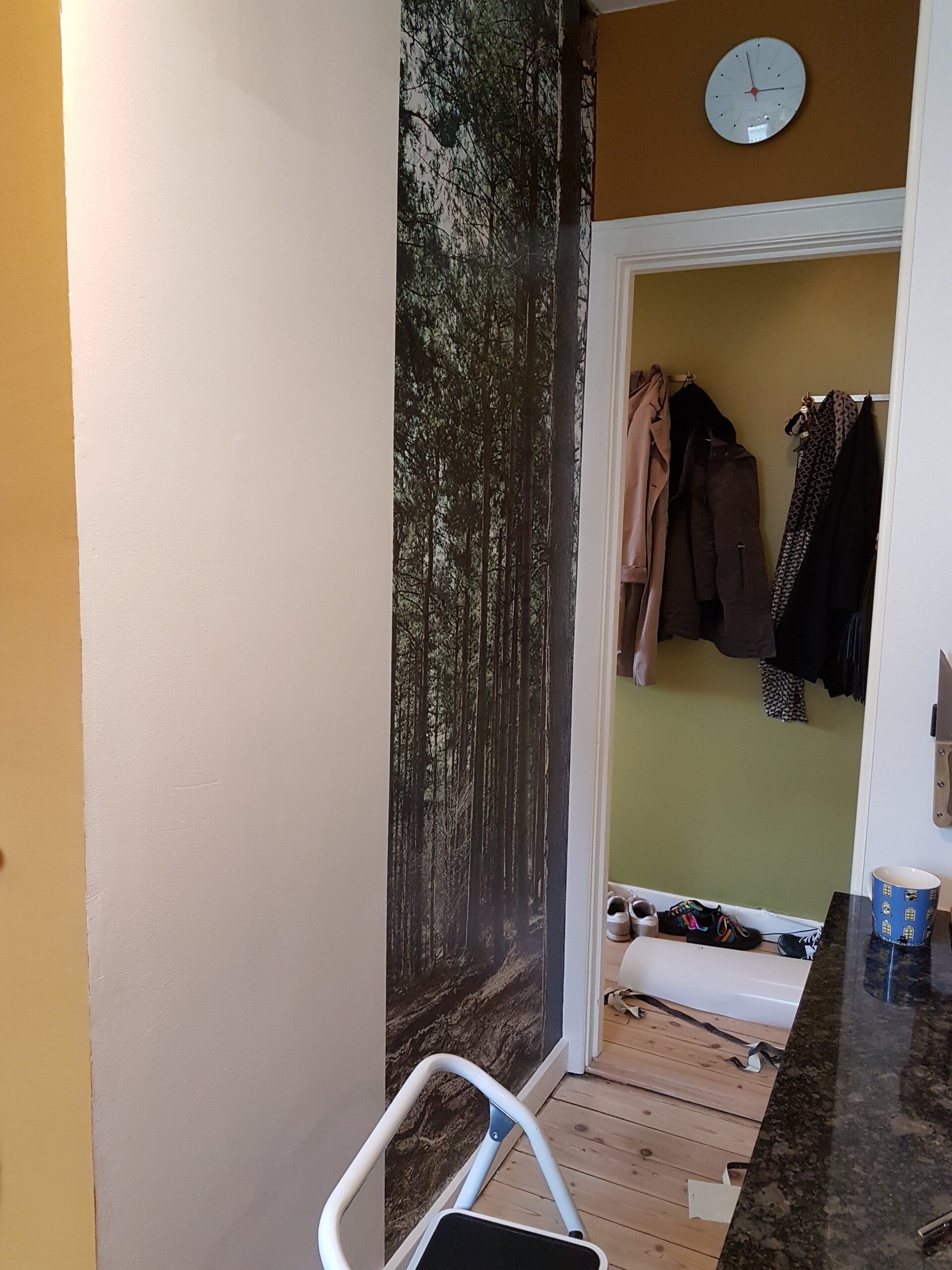 20180415_145717-standard.jpg