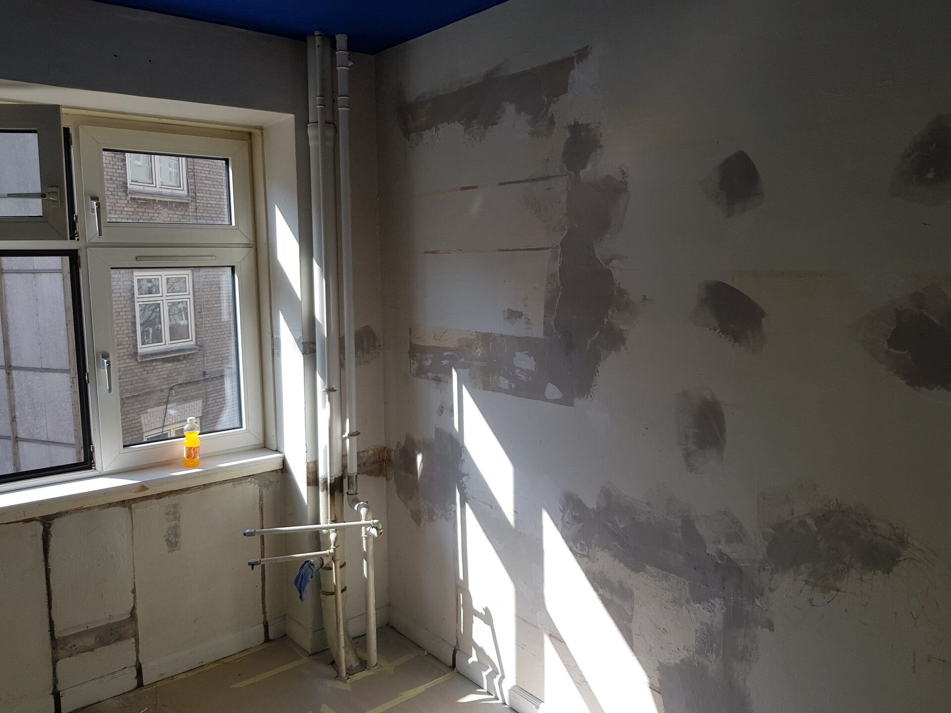 20190330_111227-standard.jpg