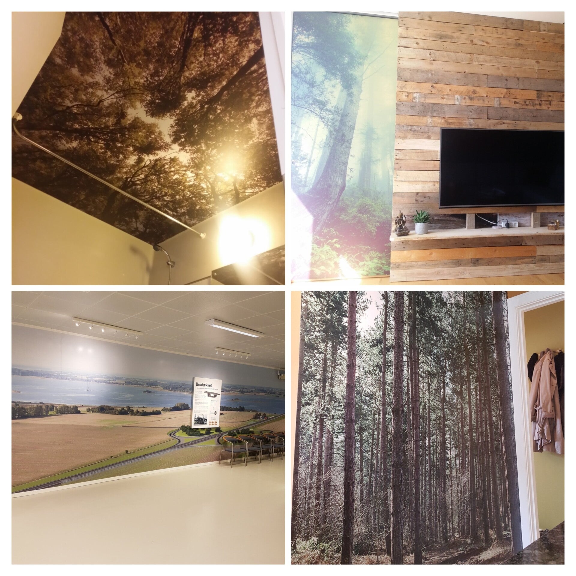 20260611_181417-collage-standard.jpg