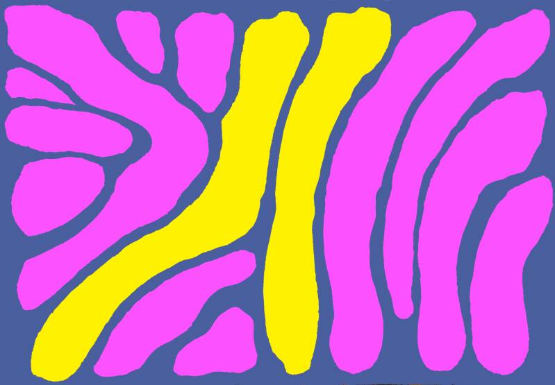 1m-standard-nly8us.jpg