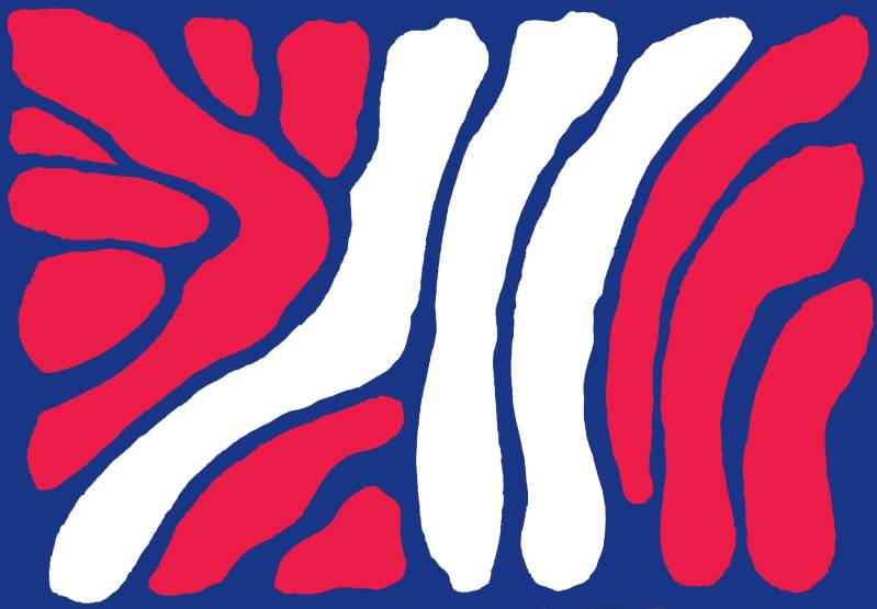 2-standard-nn8y8f.jpg