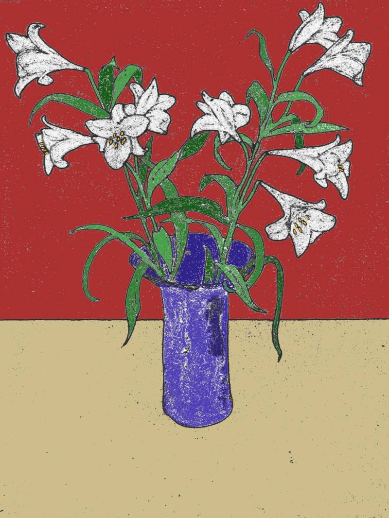 lily-2-standard.jpg
