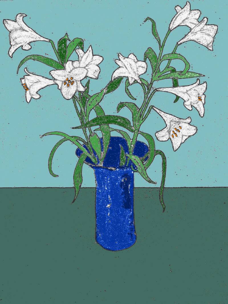 lily-3-standard.jpg