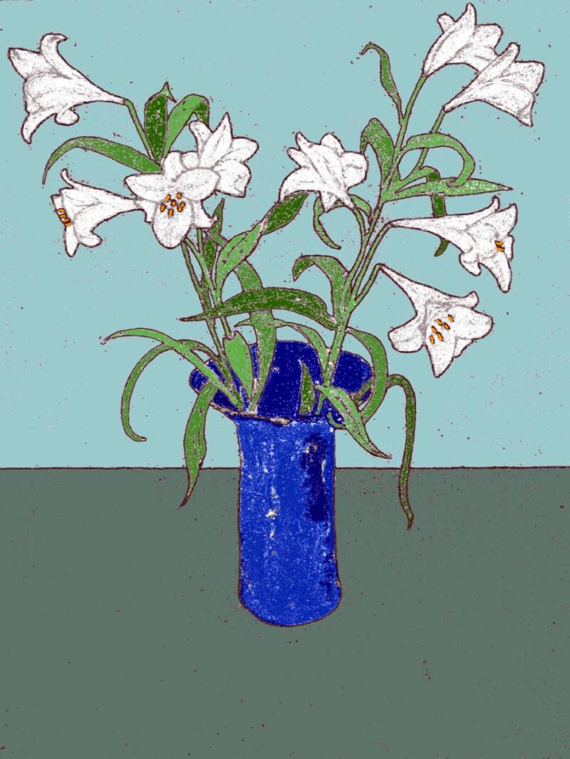 lily-paleblue2-standard.jpg