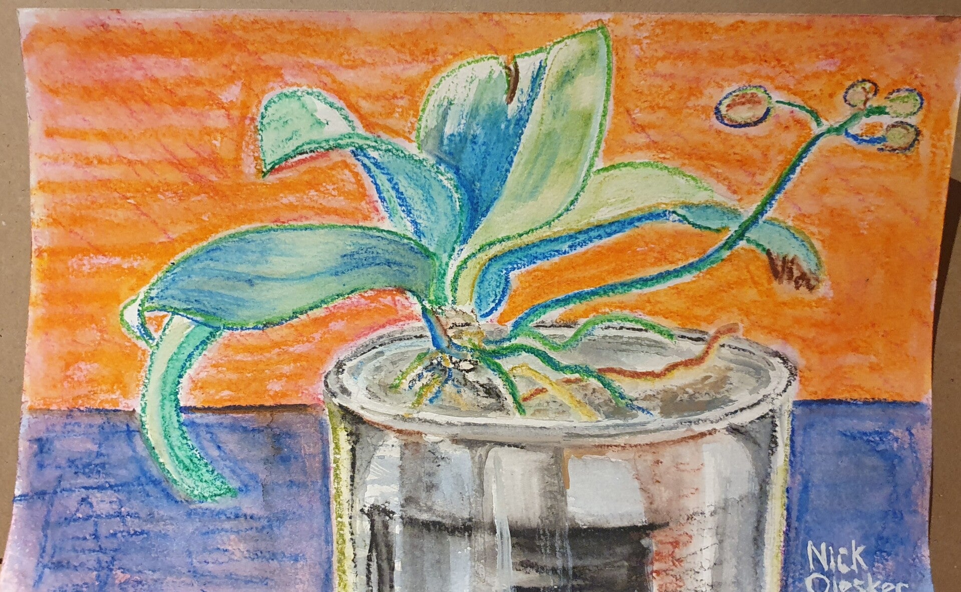 orchid