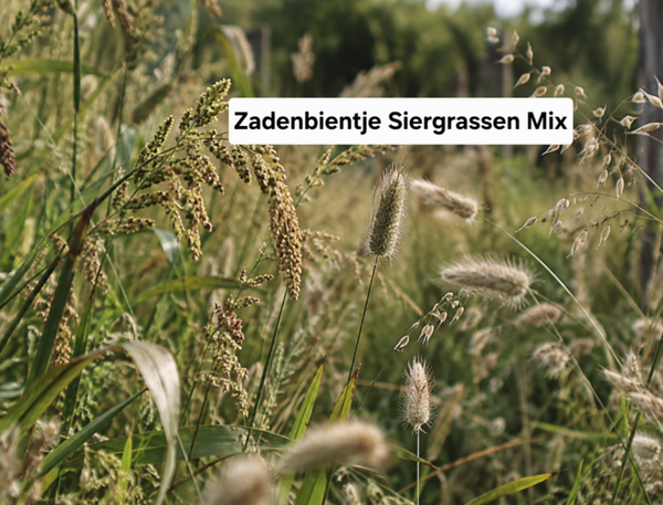 Zadenbientje Siergrassen Mix