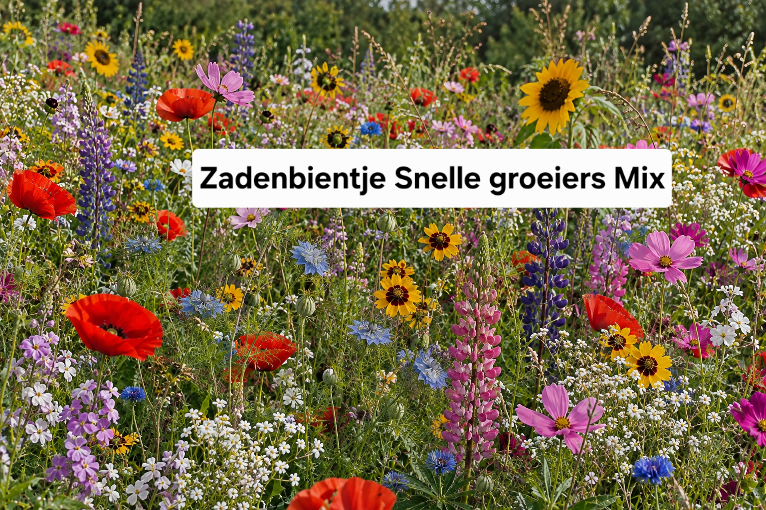 Zadenbientje Snelle Groeiers Mix