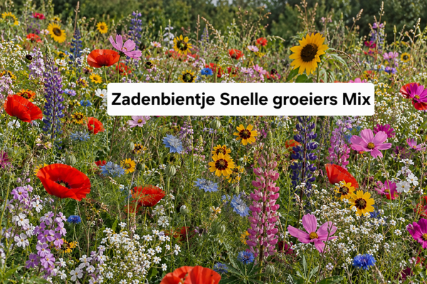 Zadenbientje Snelle Groeiers Mix