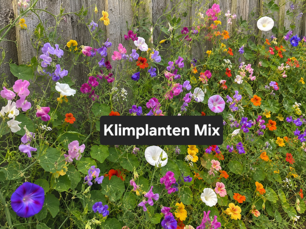 Klimplanten Mix Zadenbientje