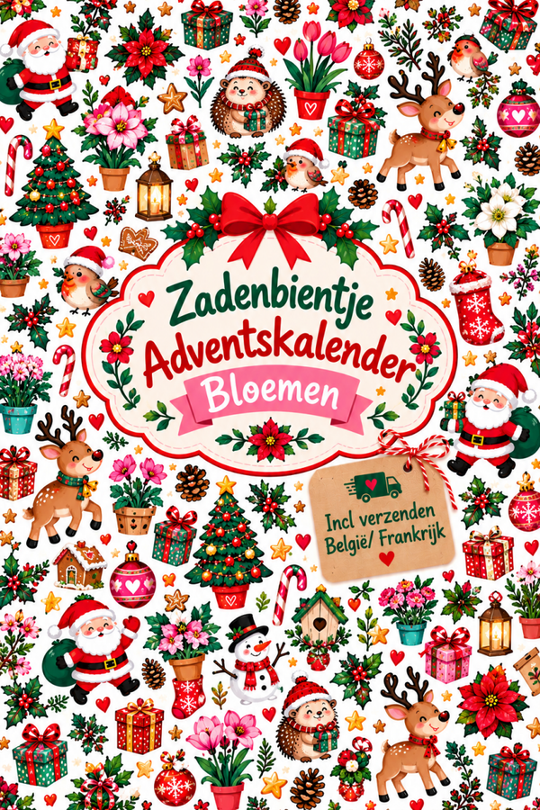 Adventskalender 2026 Bloemen Belgie en Frankrijk
