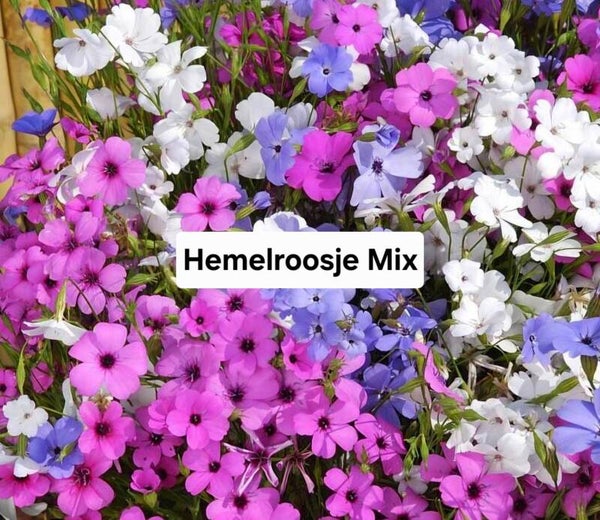 Hemelroosje Mix