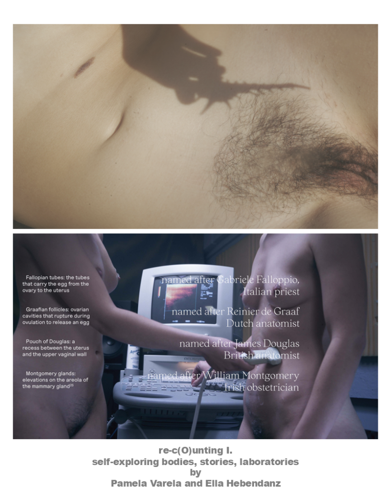 dia28-standard-43i9t6.png