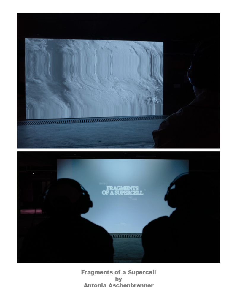 dia31-standard-qv88ro.png
